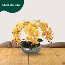 Ver imagem 6 de Vaso Aquario Dourado Ambar - Médio