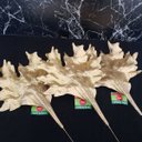 Ver imagem 6 de Galho Chifre de Cervo para Decoração Natalina Arranjo 48cm Magizi Dourado com Glitter