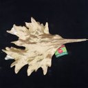 Ver imagem 4 de Galho Chifre de Cervo para Decoração Natalina Arranjo 48cm Magizi Dourado com Glitter