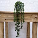 Ver imagem 3 de Arranjo de Pendente do Rosário Artificial em Vaso Branco Fosco