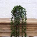 Ver imagem 2 de Arranjo de Pendente do Rosário Artificial em Vaso Branco Fosco