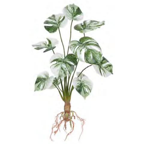 Planta Árvore Artificial Costela de Adão Real Toque C/raiz X12 Verde 48cm