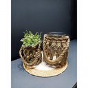 Ver imagem 6 de Vaso em Vidro com Fibra Sintética Bahamas L'Hermitage 21,5x23cm