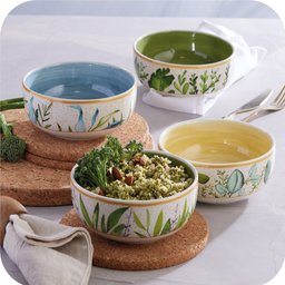 Conjunto 4 Bowl Tigela Cerâmica 623ml Siena Folhas - 6