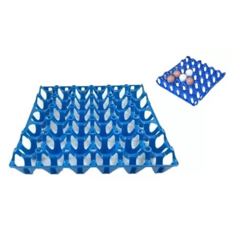 Kit 5 Porta Ovo Cartela Plástica P/30 Ovos Bandeja Higiênica:azul