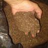 Substrato para Plantas (45l) Carolina Soil - 8