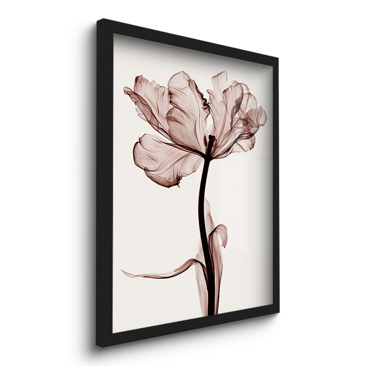 Quadro Decorativo Flor Rosa 1 45x33 C/vidro