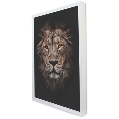 Quadro Decorativo Leão Africano em Moldura Caixa Tacolado Moldura Caixa 3cm Branca sem Vidro 20 X 30