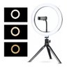 Iluminador Ring Light Exbom Ilum-r10w012 10 - 4