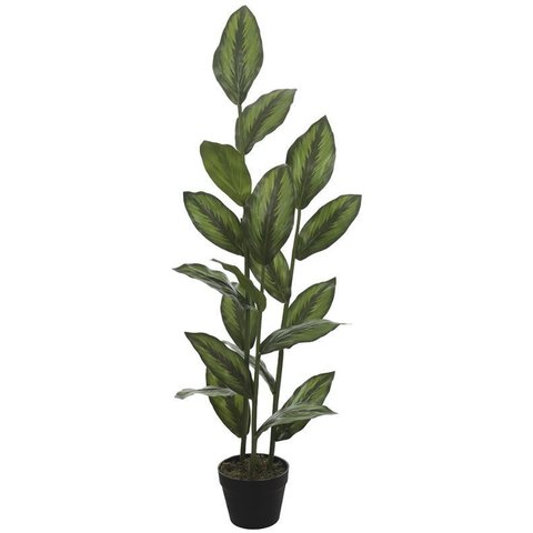 Planta Artificial Arvore Calathea Real Toque C/pote X19 Verde 1,2m