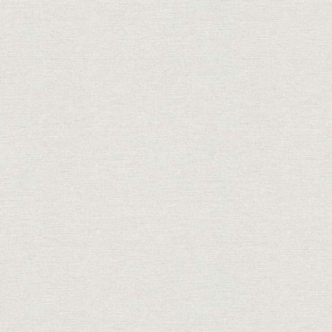 Papel de Parede The Wall 2 Textura Cinza 306889