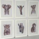 Ver imagem 6 de Quadro Infantil Safari 6 Un A4 Vidro e Pendurador