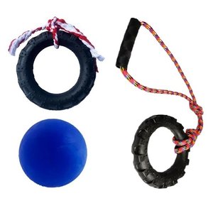 Kit de Brinquedos para Cães com Bola, Puxador e Pneu Bone GG