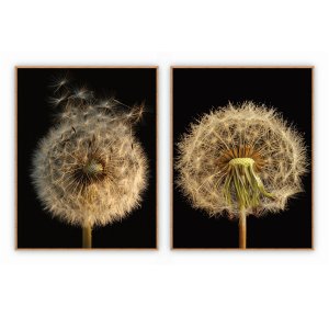 kit com 2 Quadros Decorativos Florais com Moldura e Vidro para Sala Quarto Escritório 42x52 - Art. Q