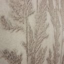 Ver imagem 5 de Papel de Parede Folhagem Bege Leve Brilho Vinilico Lavável+ Cola Inclusa