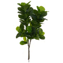 Ver imagem 1 de Planta Árvore Artificial Ficus Lyrata Real Toque X72 Verde 1,2m