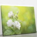 Ver imagem 2 de Quadro Jasmim-árabe Flor Branca Natureza Canvas 100x70cm
