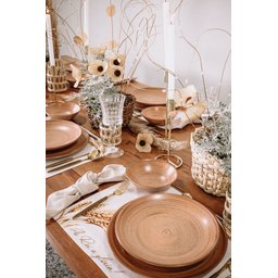 Conjunto com 6 Pratos Fundo Coup Kya Terracota Ø25cm Alleanza Cerâmica - 2
