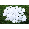Pedras Decorativas Brancas Dolomitas Jardim Vasos - 10 kg - 2