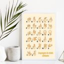 Ver imagem 1 de Quadro Linguagem de Sinais Alfabeto em Libras 33x24cm - com Vidro:madeira Preta