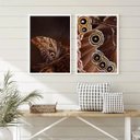 Ver imagem 1 de Kit 2 Quadros Fotografias Borboletas- Asas 45x34cm:madeira Preta