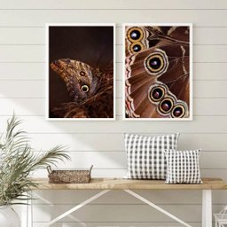 Kit 2 Quadros Fotografias Borboletas- Asas 45x34cm:madeira Preta - 1