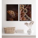Ver imagem 2 de Kit 2 Quadros Fotografias Borboletas- Asas 45x34cm:madeira Preta