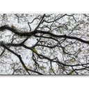 Ver mais imagens de Quadro Decorativo Galhos de Árvore Sala Quarto Casa Escritório