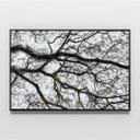 Ver imagem 5 de Quadro Decorativo Galhos de Árvore Sala Quarto Casa Escritório