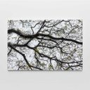 Ver imagem 7 de Quadro Decorativo Galhos de Árvore Sala Quarto Casa Escritório