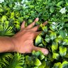 Painel 1m² Jardim Vertical Artificial com Flores para Decoração 100x100 - 6