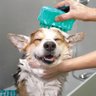 Kong Zoomgroom Bubbles Escova Macia e Dispenser para Colocar Shampoo para Pets - 1
