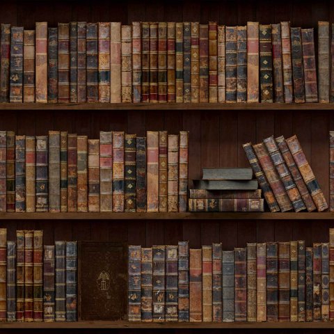Papel de Parede Temático Estante de Livros - 1,50x0,50m