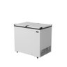 Freezer Horizontal Esmaltec Branco 305L EFH350 127V - 1