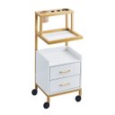 Ver imagem 1 de Carrinho Auxiliar Salão Clínica Estética Beleza Cor Premium