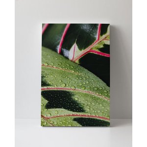Tela em Canvas 103