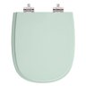 Assento Sanitario C/ Amortecedor Sabatini Verde Claro Icasa - 1