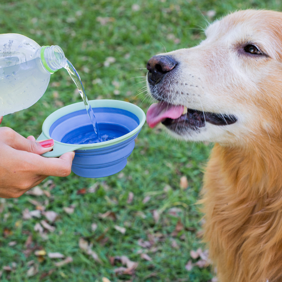 Ver imagem 4 de BOWL POTE TIJELA RETRATIL MULTIUSO PARA PET
