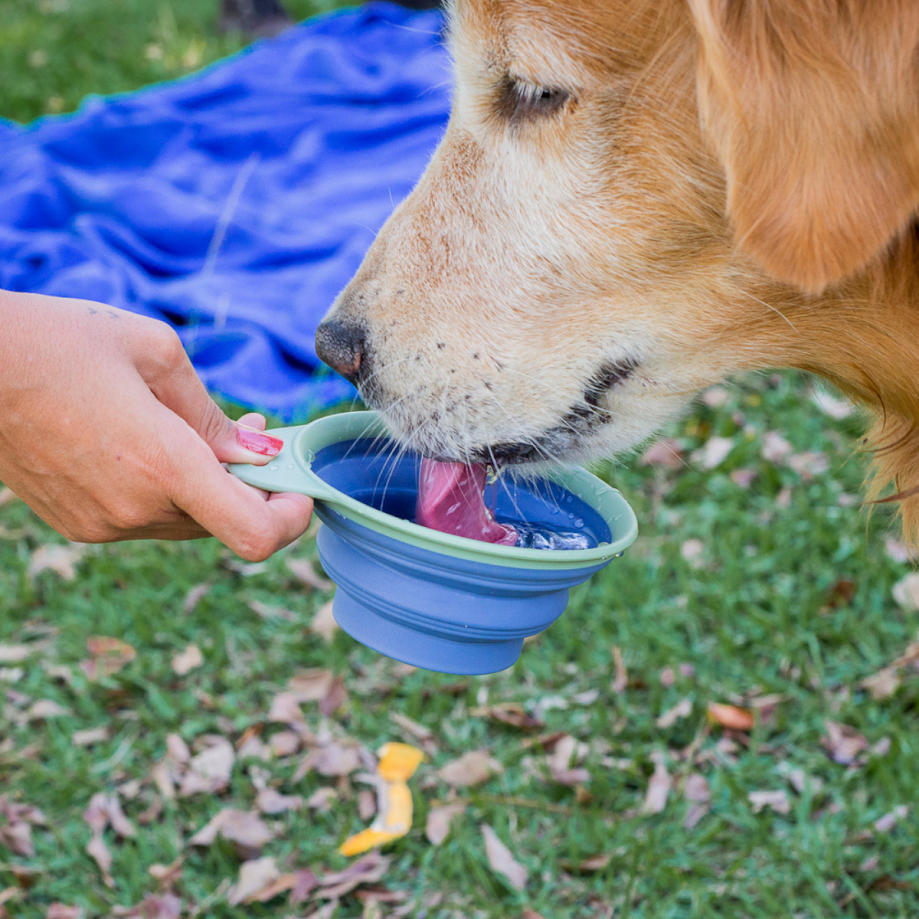 Ver imagem 5 de BOWL POTE TIJELA RETRATIL MULTIUSO PARA PET