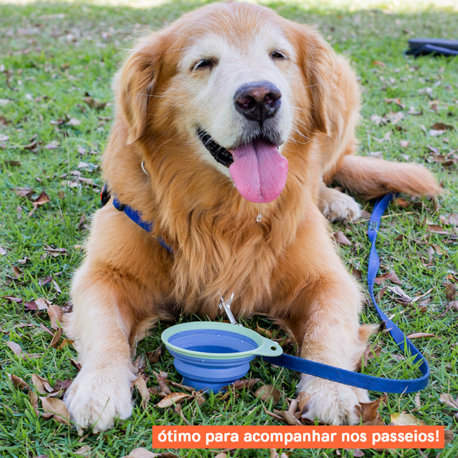 Ver imagem 6 de BOWL POTE TIJELA RETRATIL MULTIUSO PARA PET