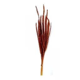 Buquê Flor Napier Desidratado Marrom Folhagem Arranjo Lar - 2