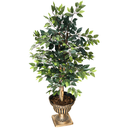 Ver imagem 1 de Planta Artificial Ficus Golden Luxo Realista Folhagem