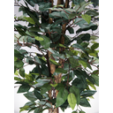 Ver imagem 4 de Planta Artificial Ficus Golden Luxo Realista Folhagem
