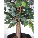 Ver imagem 2 de Planta Artificial Ficus Golden Luxo Realista Folhagem