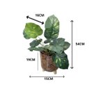 Ver imagem 2 de Arranjo de Flor Jiboia Artificial em Vaso de Plástico Cor:Transparente