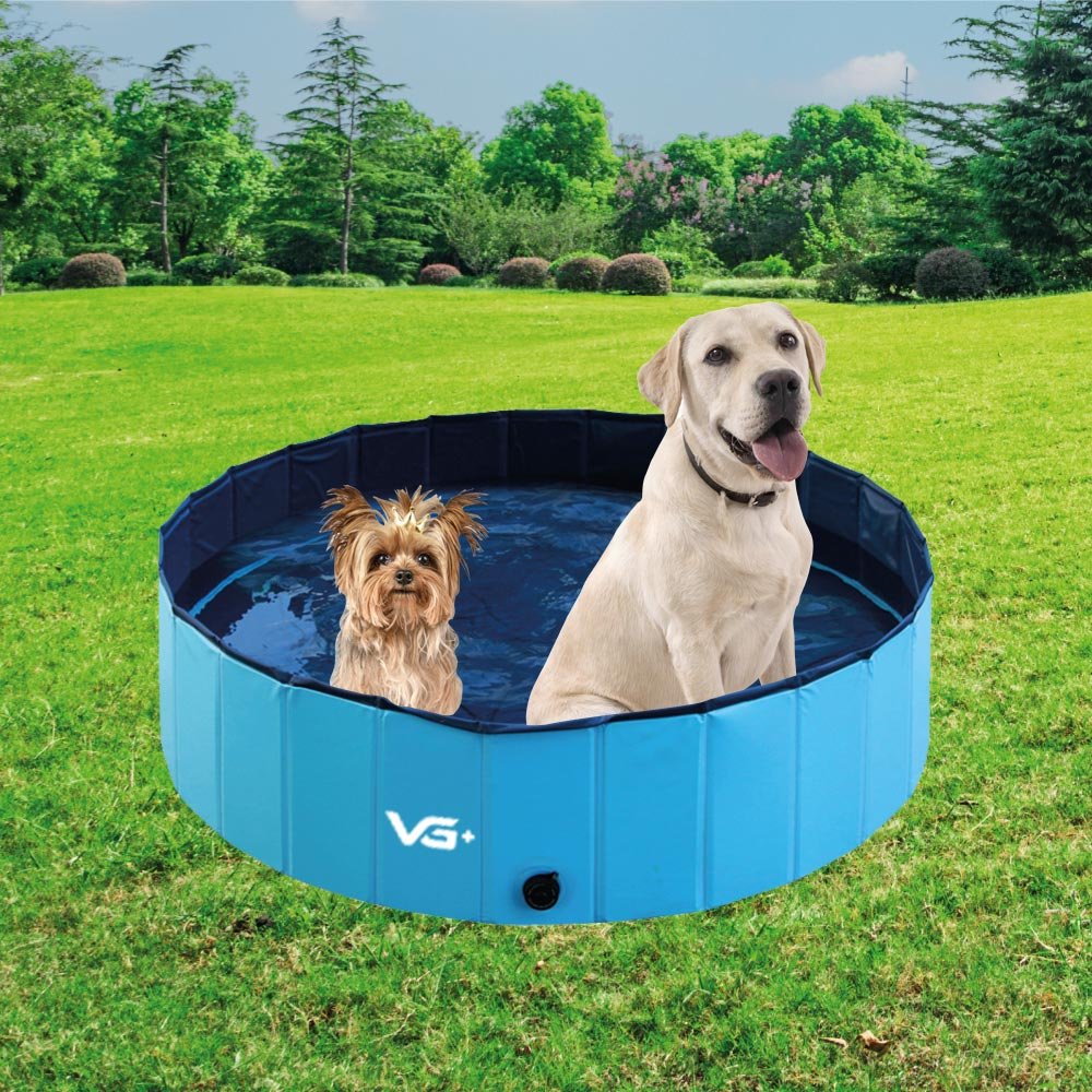 Piscina para Cachorro Pets Dobrável Lisa Azul Vg+ - 2