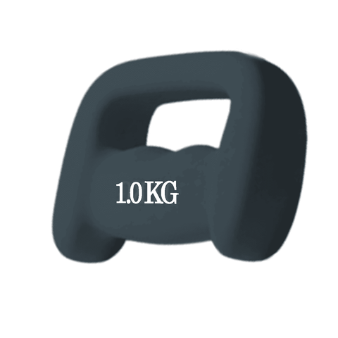 Peso de Mao Revestido Halter Boxing Dumbell 1kg Musculacao Academia Fisoterapia Pilates Fitness Exer