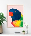 Ver imagem 1 de Quadro Pássaro Papagaio Periquito - Animais - Moldura Caixa + Foam + Vidro em Várias Tamanhos - Artf