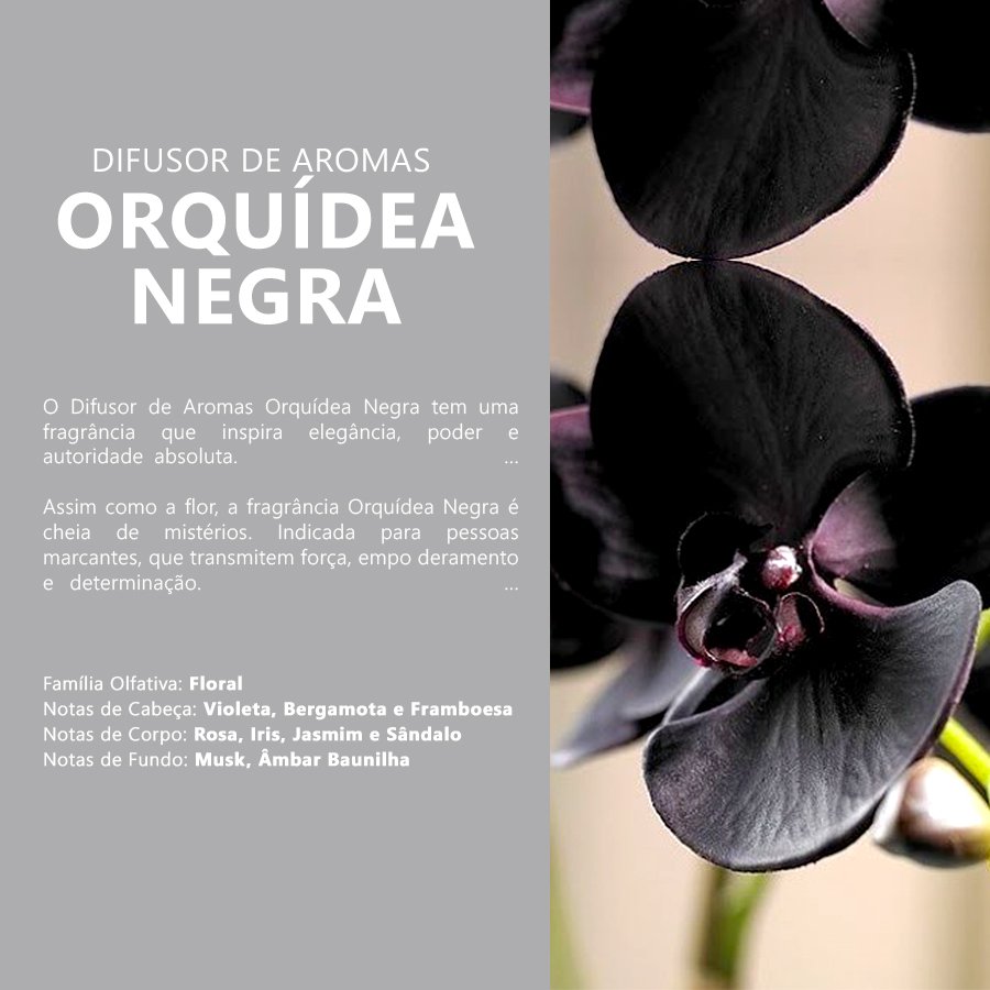 Difusor de Aroma Orquidea Negra 240ml Ellegance - 9