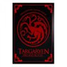 Quadros decorativos Game of thrones - 1